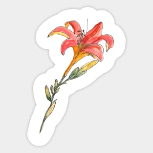 Lily – summer is here Sticker